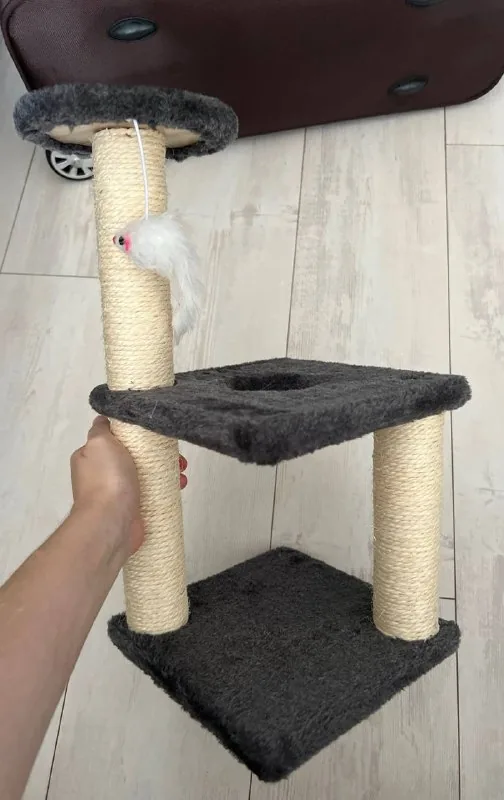 Когтеточка для котенка