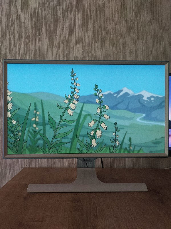 Монитор Samsung 23.6" S24E391HL, Монитор Acer EcoDisplay UM.WS0EE.A01 21.5"