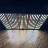 Фитолампы Quantum Board UPD200W и Gerylove SP1000 3