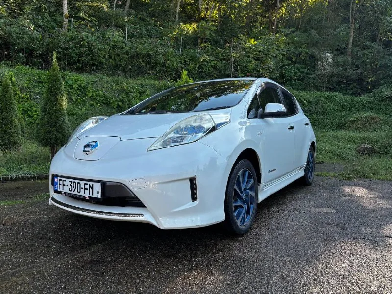 Nissan Leaf AZE0, 2015 წელი 1