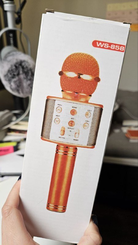 Микрофон караоке