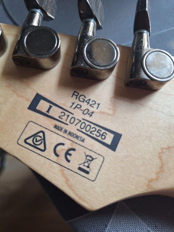 Электрогитара Ibanez RG421 4