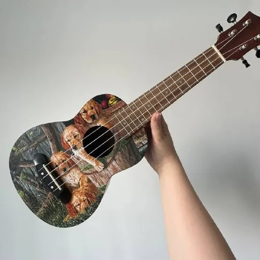 Укулеле с чехлом