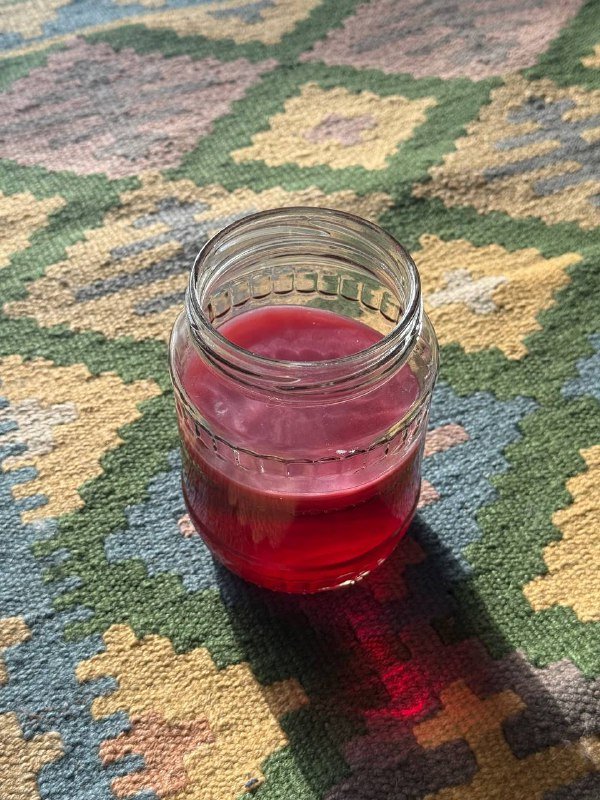 Чайный гриб для комбучи