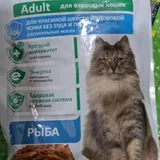 Корм для кошек, телятина, рыба, курица 2