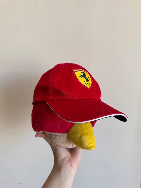 Шорты Oakley, Endura, Carhartt, Майка Alpha Industries, Штаны The North Face, Футболка Napapijri, Кепки Ferrari, Nike, Мессенджер Dickies 7