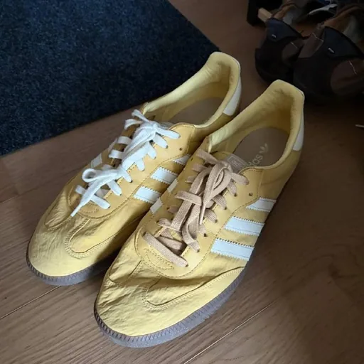 Кроссовки Adidas, Pane