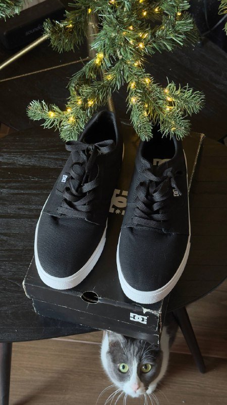 Ботинки Clark’s, кеды DC, Reebok, Converse, Noberto Costa 2