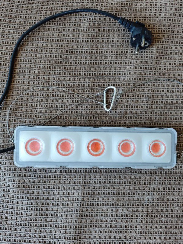 Фитолампы для растений, компьютерные кресла, умный удлинитель, робот-пылесос 2