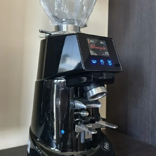 Профессиональная кофемолка Fiorenzato F64E