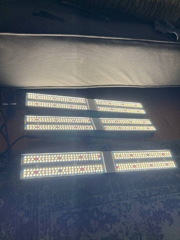 Snake Ray grow tent, MARS HYDRO SP150 LED grow light, Advanced Nutrients 5