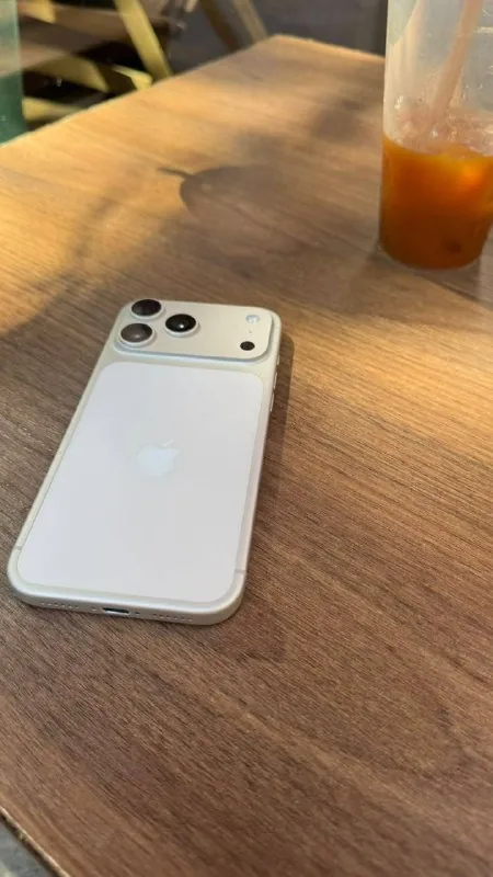 iPhone 17 Pro Max 256 GB Silver 1