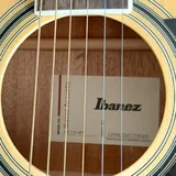 Гитара Ibanez, чехол 2