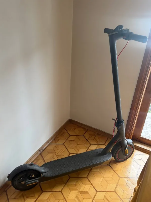 Xiaomi Mi Electric Scooter Pro 1, два самоката 1