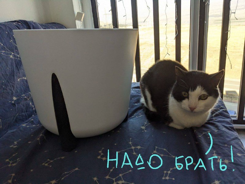 Горшок с дренажной системой