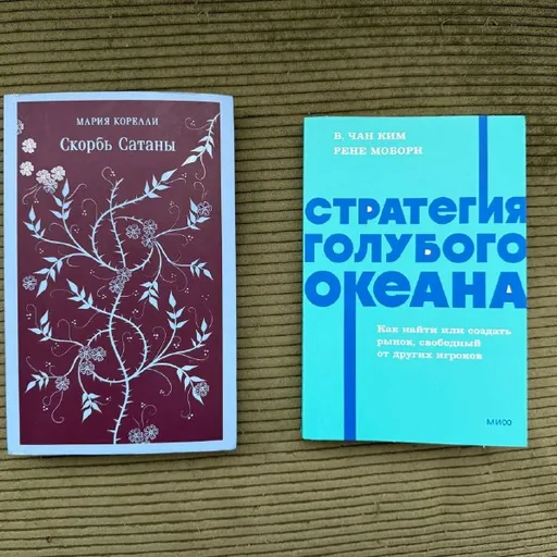 Книги, Скорбь сатаны, Стратегия голубого океана, Эстетический интеллект, Рискую собственной шкурой