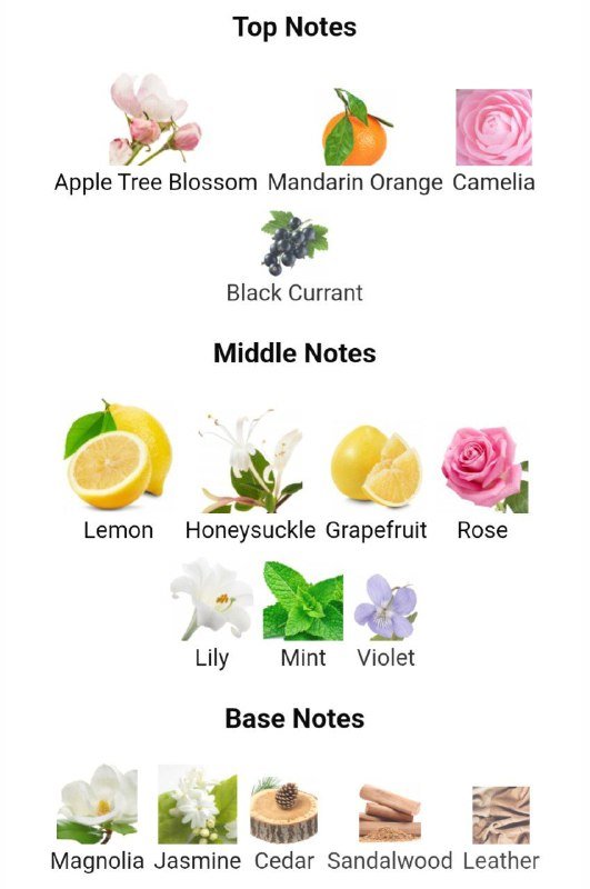 духи Tommy Girl by Tommy Hilfiger 3