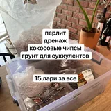 Грунт, увлажнители, термометр, набор для микрозелени, семена, горшки 4