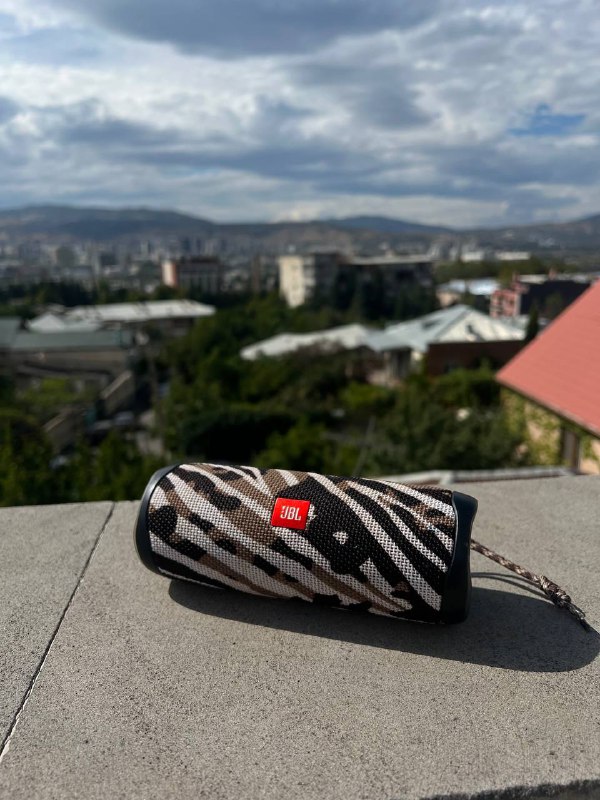 Колонка JBL Flip 5 лимитка зебра