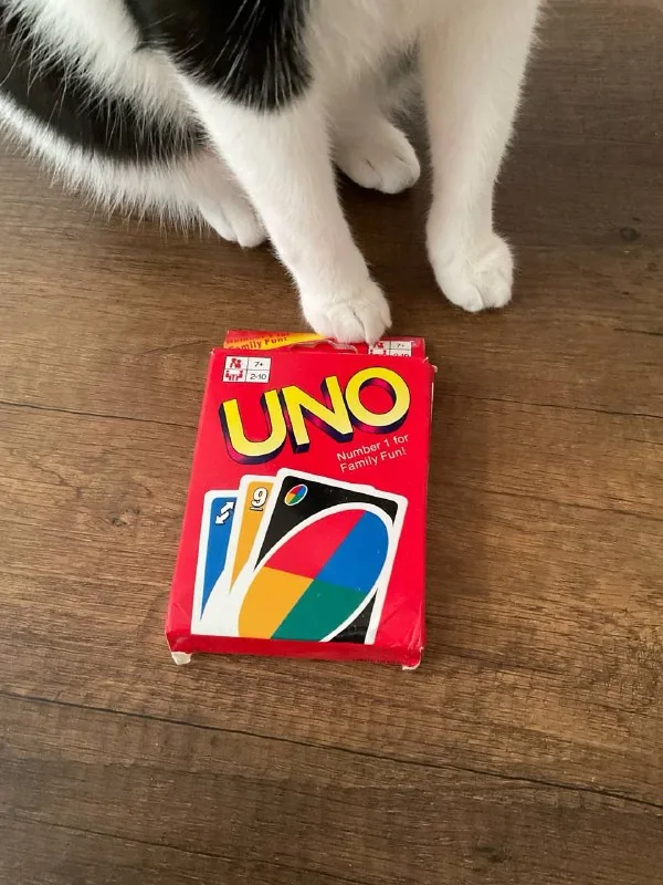 Uno, Jenga, Codenames