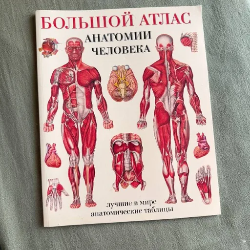 Атлас анатомии человека