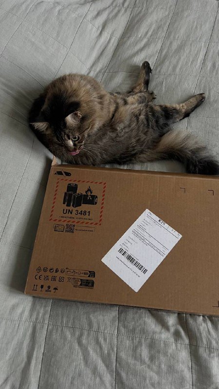 Ноутбук HP Laptop 15-fd0074ci 7