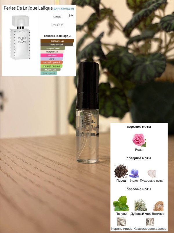 Отливанты духов Agent Provocateur, Trussardi, Lalique, Attar Collection и др. 4