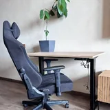 Дорожка FlexiSpot WPS02, стол FlexiSpot, игровое кресло Jysk ABILDAA 3