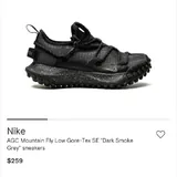 Nike ACG Mountain Fly Low Gore-Tex SE 8