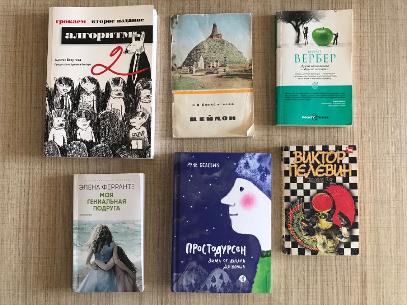 Книги: Простодурсен, Моя гениальная подруга, Омон Ра, Грокаем алгоритмы, Цейлон, Древо возможного
