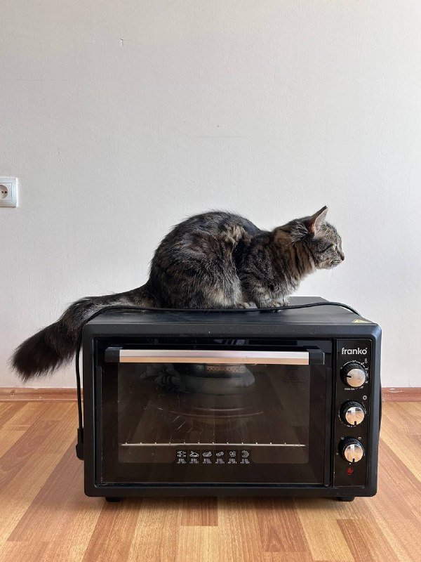 Электропечь с формами 2