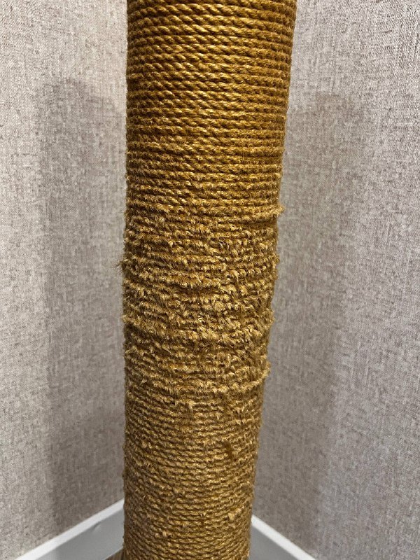 Когтеточка для взрослого кота во весь рост 2