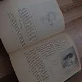 Книга по искусству 3
