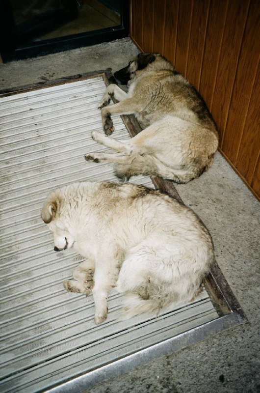 Фотоаппарат Olympus mju Zoom 4