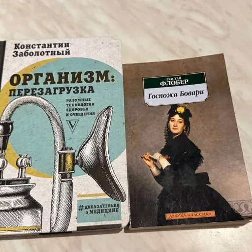 Госпожа Бовари, Организм:Перезагрузка