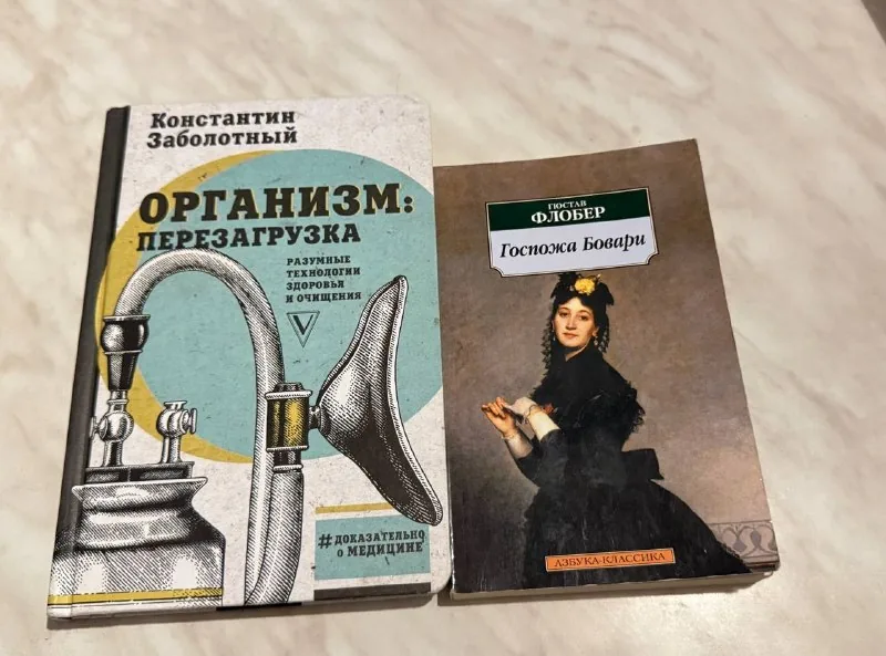 Госпожа Бовари, Организм:Перезагрузка