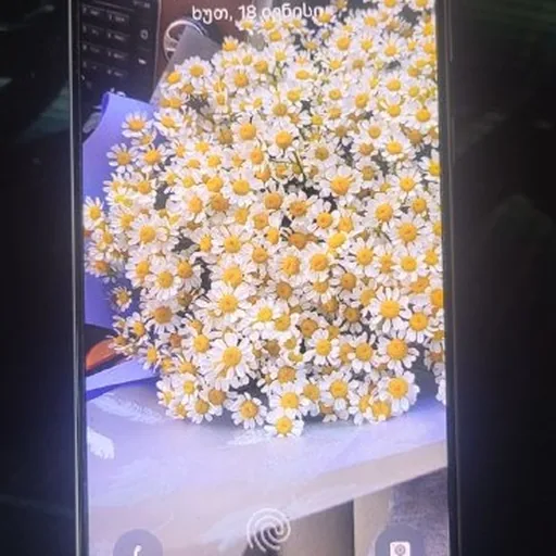 Samsung Galaxy S21 FE 5G