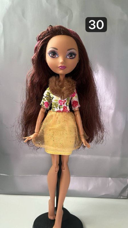 Куклы Monster High и Ever After High 2