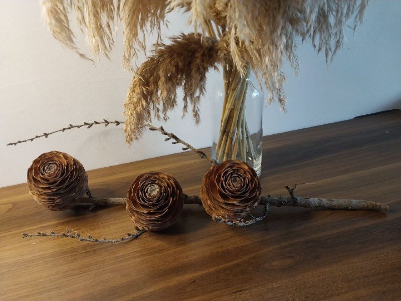 Пампасная трава с вазой, шишки гималайского кедра 2