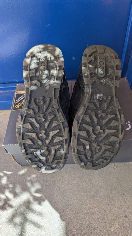 Детские кожаные кроссовки Ecco на осень 2