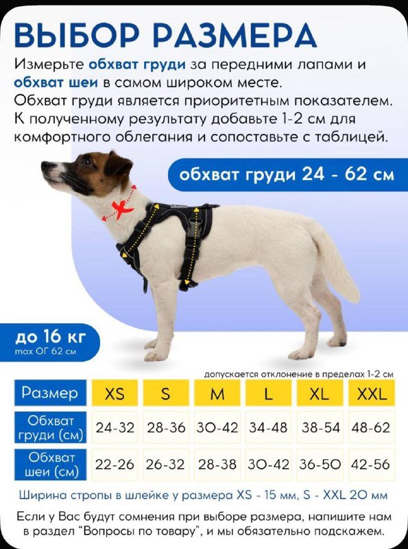 Анатомическая шлейка для щенка с поводком и адресником 5