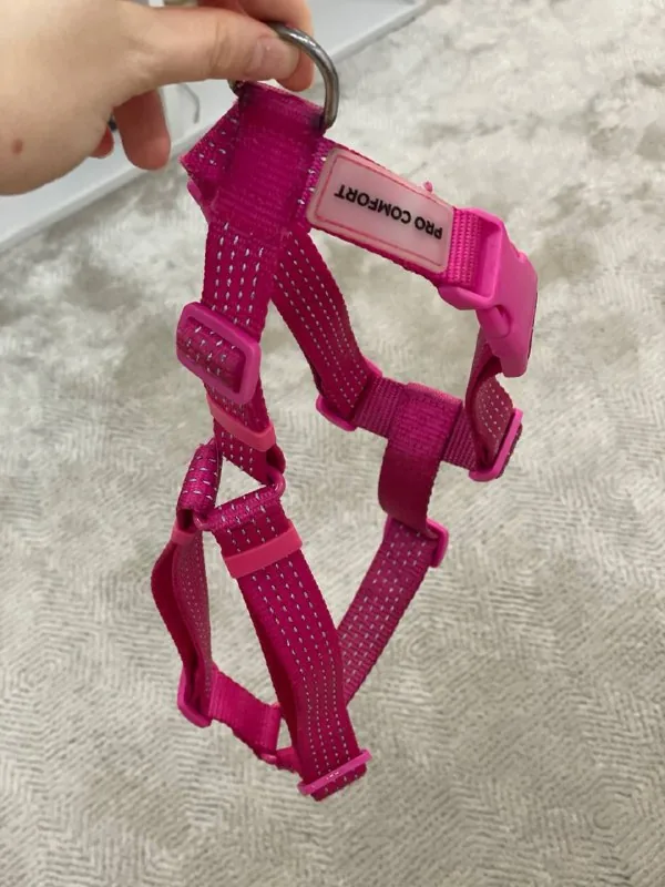 Dog harness, size M 1
