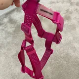 Dog harness, size M 1