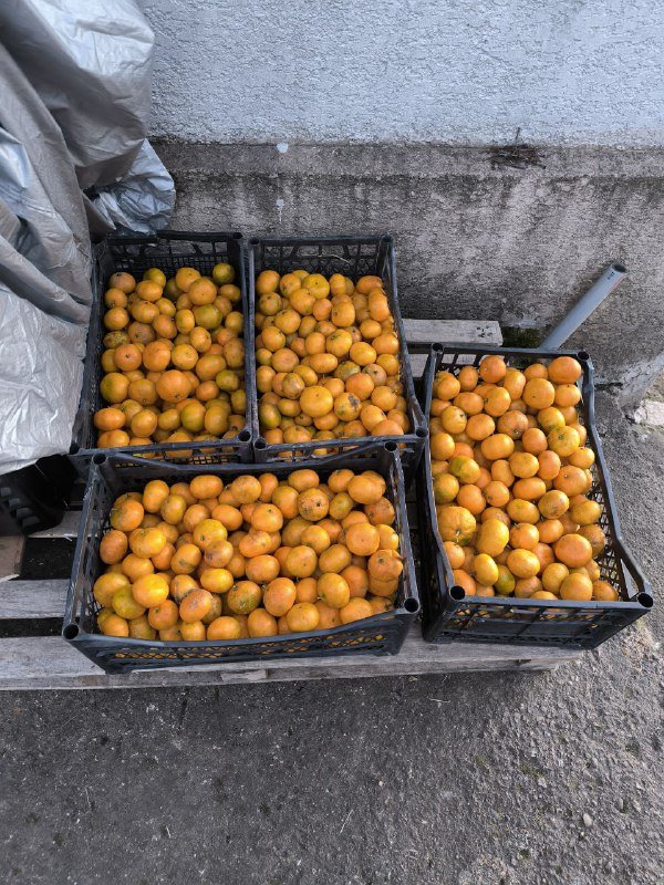 Мандарины 15 кг ящик 3