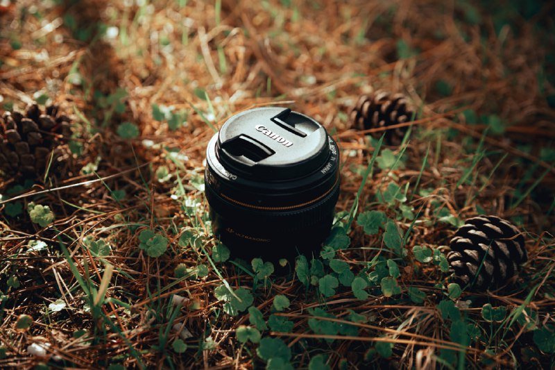 Canon EF 50mm f1.4 USM объектив 2