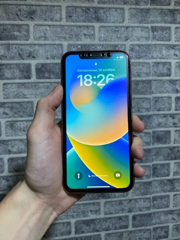 iPhone XR 1