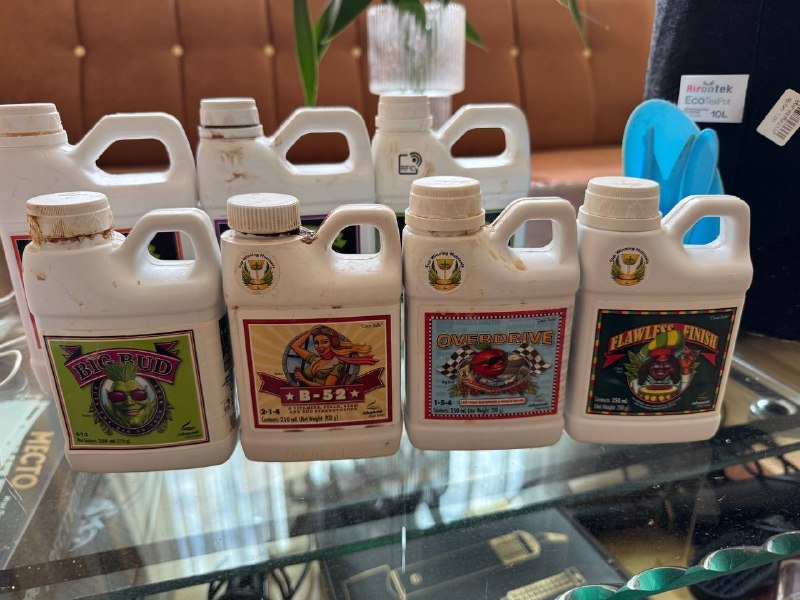 Лампа для выращивания цветов, добавки и оборудование