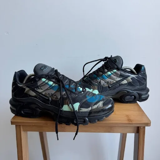 Кроссовки Nike Air Max Plus