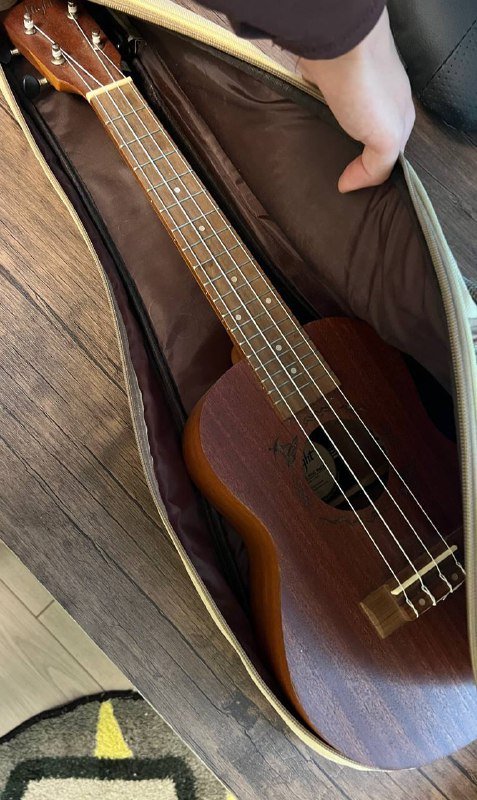 Профессиональное укулеле 2