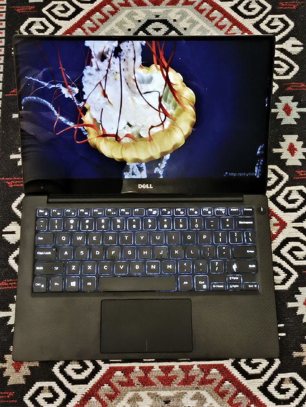ноутбук Dell XPS 13, игровой ноутбук ASUS FX506HCB, походный плед пончо North Face 1